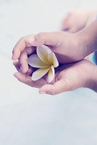 Cropped hand of child holding flower