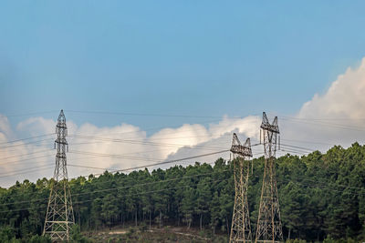 Power transmission lines and forest