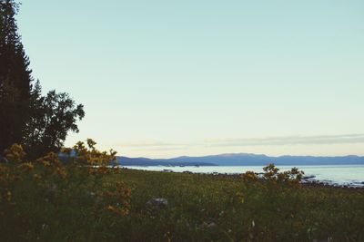 Scenic view of calm sea against clear sky