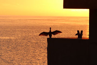 Silhouette birds on sea against sky during sunset