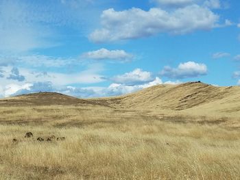 Scenic view of landscape against cloudy sky