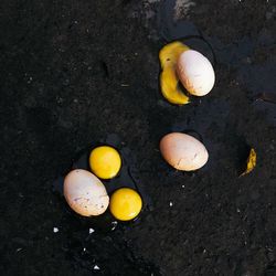 Close-up high angle view of yellow leaves