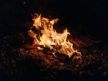 Close-up of bonfire at night