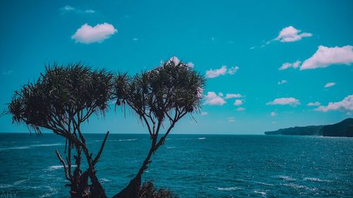 Scenic view of sea against blue sky