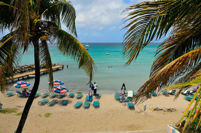 Palm trees on beach against sky