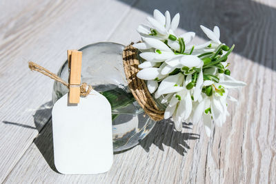 Close-up of white rose on table