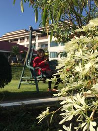 Boy on a tree