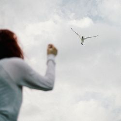 Low angle view of birds flying in sky