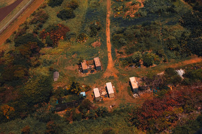 Helicopter view of dirt road amidst trees