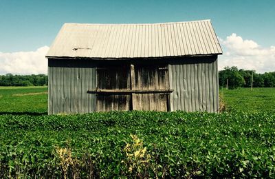 Barn on grassy field