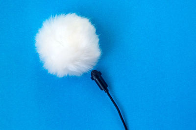 Close-up of feather against blue background