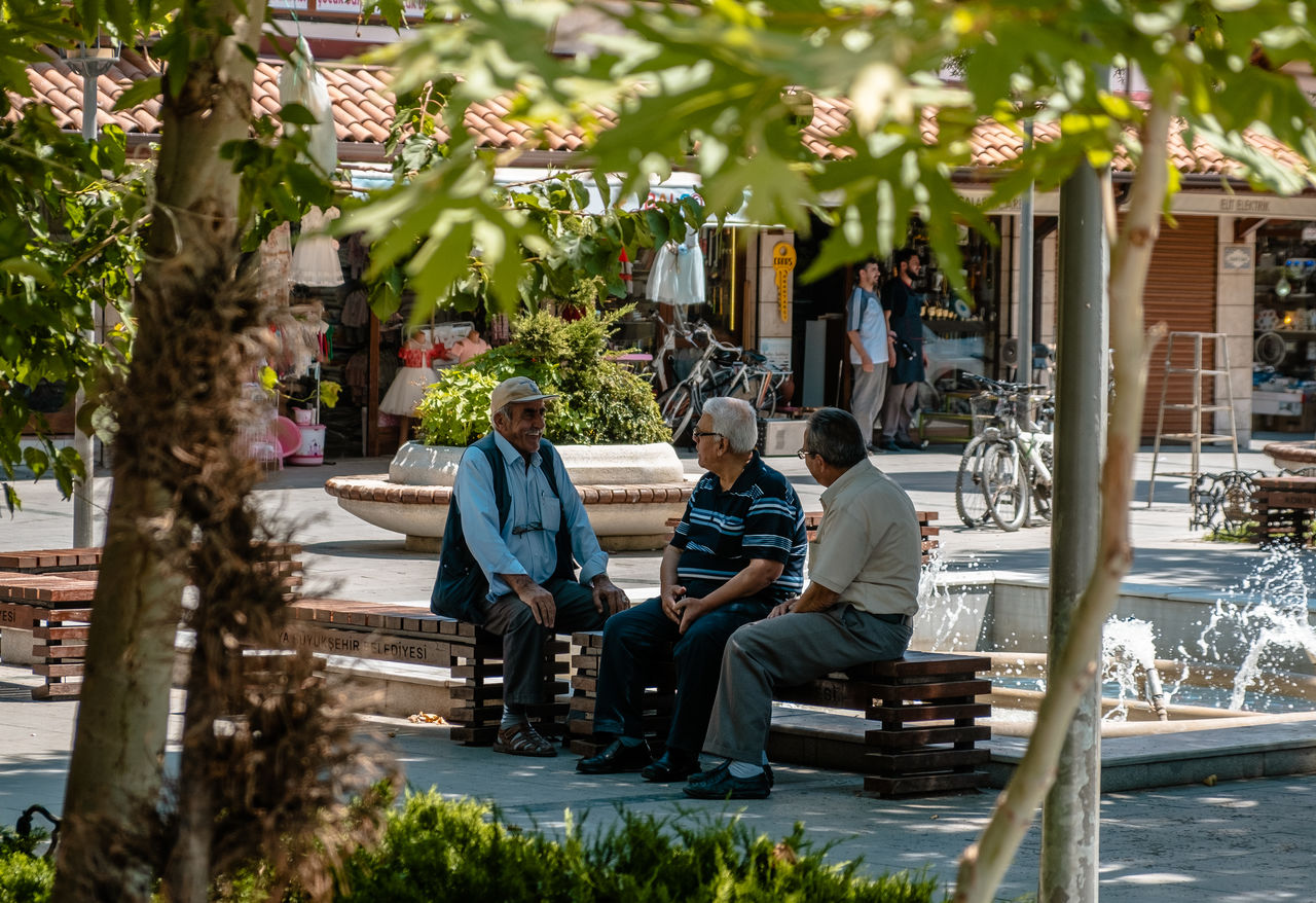 sitting, group of people, real people, plant, tree, men, leisure activity, adult, day, lifestyles, people, togetherness, women, males, nature, casual clothing, full length, child, incidental people, childhood, outdoors, son