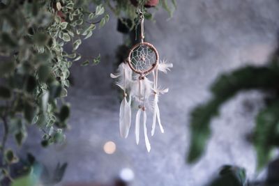 Close-up of dreamcatcher hanging on tree