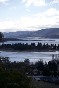 Scenic view of lake by trees against sky