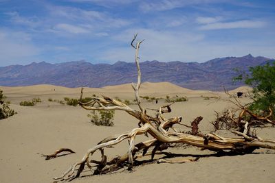 Scenic view of desert against sky