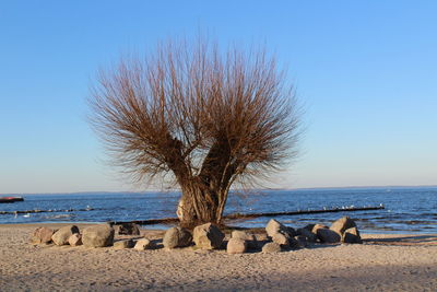 Scenic view of sea against clear sky