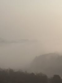 fog