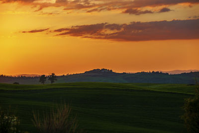 Scenic view of field against sky during sunset