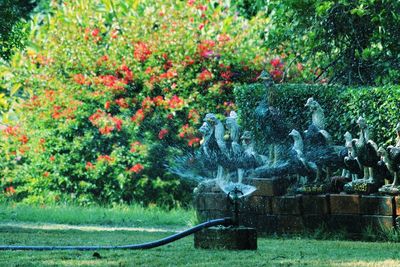 View of statue by plants in garden