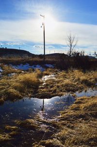 Ditch amidst grass against sky