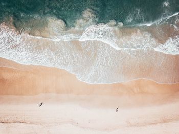 View of bird on beach