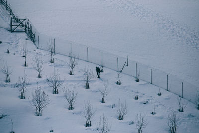 View of snow on snowy field