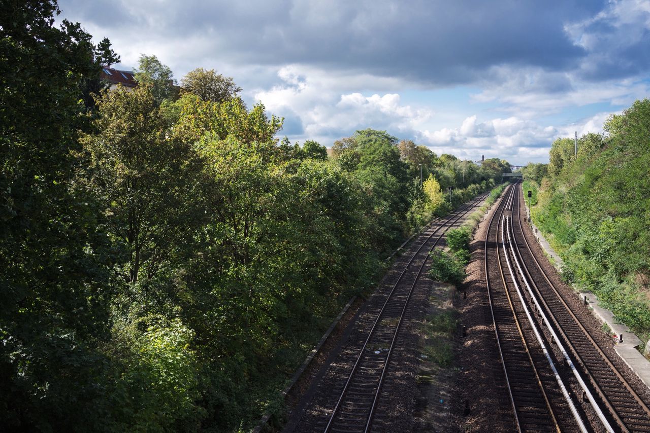 transportation, railroad track, the way forward, diminishing perspective, rail transportation, tree, vanishing point, sky, cloud - sky, public transportation, railway track, cloudy, road, cloud, day, travel, high angle view, nature, growth, outdoors