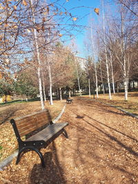 Empty bench in park during autumn