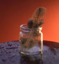 Close-up of wet glass jar on table