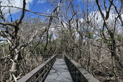 Footbridge over frozen bare trees during winter