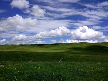 Scenic view of grassy field against cloudy sky