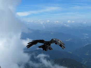 Bird flying over mountains against sky