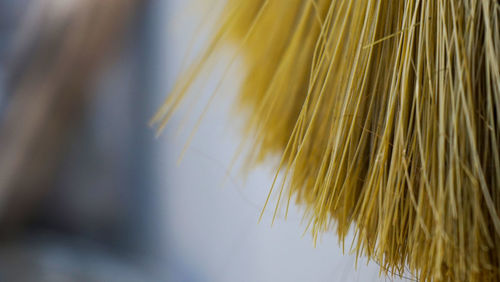 Close up of a brown broom