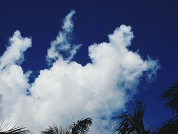 Low angle view of trees against cloudy sky