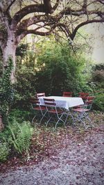 Empty chairs in yard