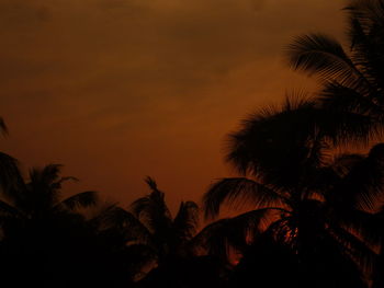 Silhouette of palm trees at sunset