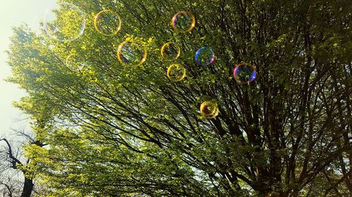 Low angle view of bubbles in park