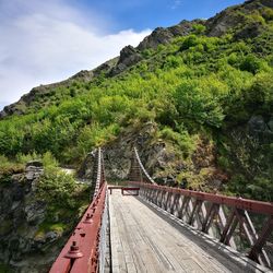 Bungee jump