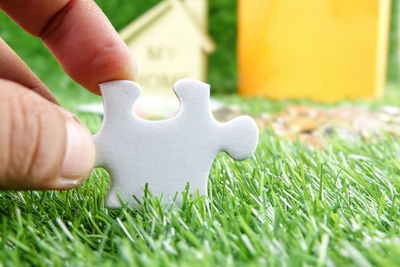 Close-up of human hand holding grass