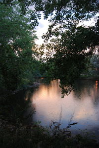 Scenic view of lake in forest against sky