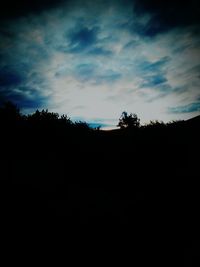 Silhouette trees on landscape against sky at sunset