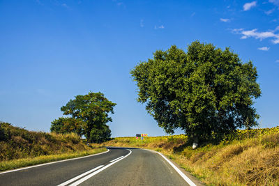 Empty road amidst trees against sky