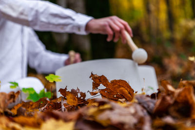 Person holding maple leaves during autumn