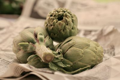 Close-up of artichokes