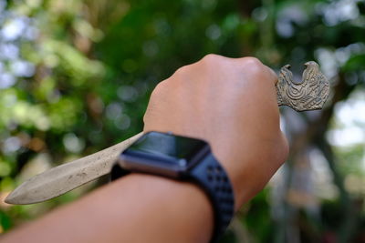 Close-up of hand holding butterfly