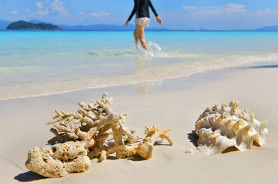 Low section of person on beach against sky