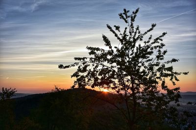 Silhouette tree against sky during sunset