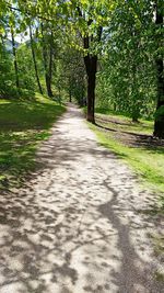 Footpath amidst trees on landscape