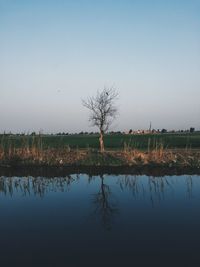 Scenic view of lake against clear sky