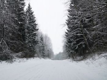 Trees on snow covered landscape against clear sky